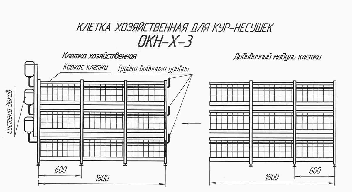 Схема клетки для разведения кур бройлеров