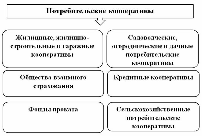 структура потребительского кооператива