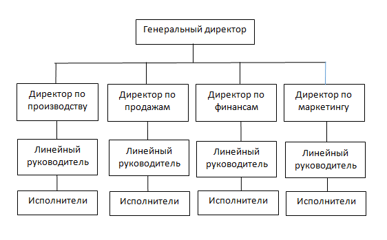 Учреждение осу. Линейно-функциональная структура управления гостиницы схема. Линейно функциональная структура санатория схема. Линейно-функциональная организационная структура гостиницы. Линейно-функциональная структура управления отеля.