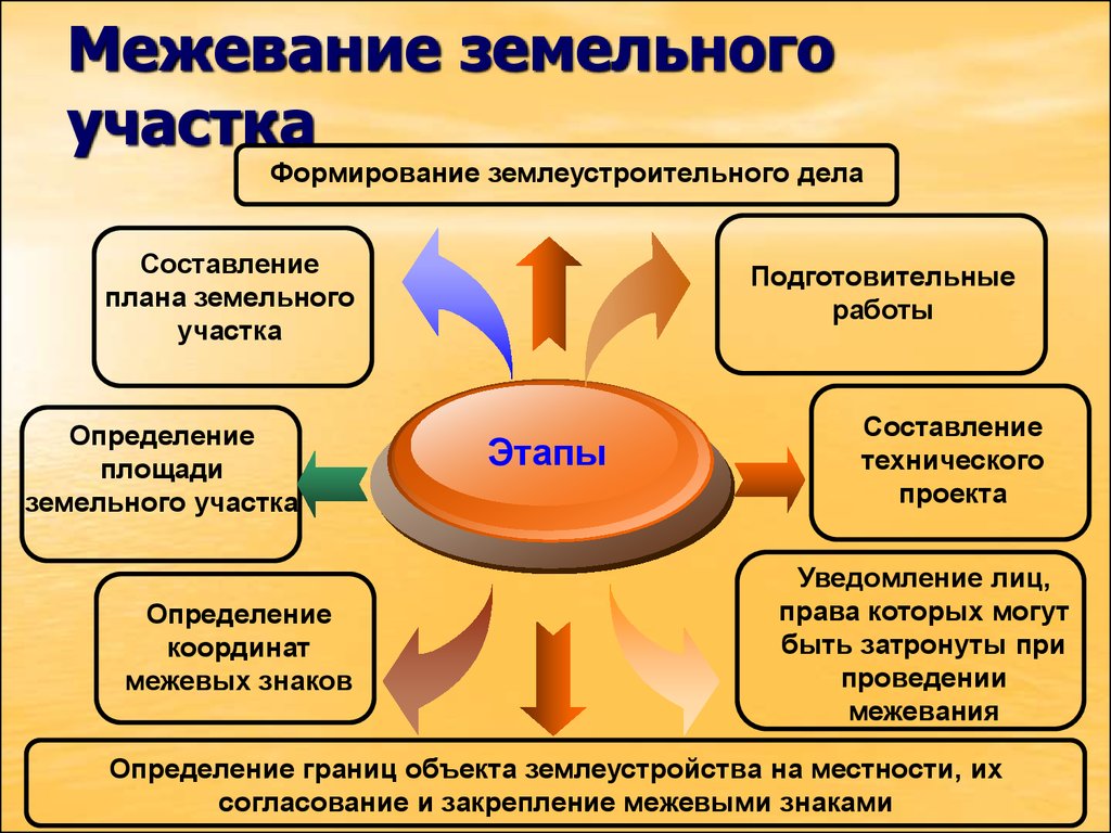 Этапы межевания земельного участка