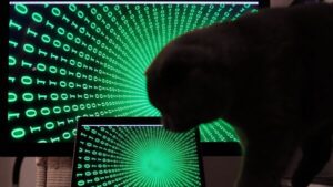 833629547_03a613a28053a1639_600x0_80_0_0_5a92d3d60c33c622586b8d4a52c54742-4